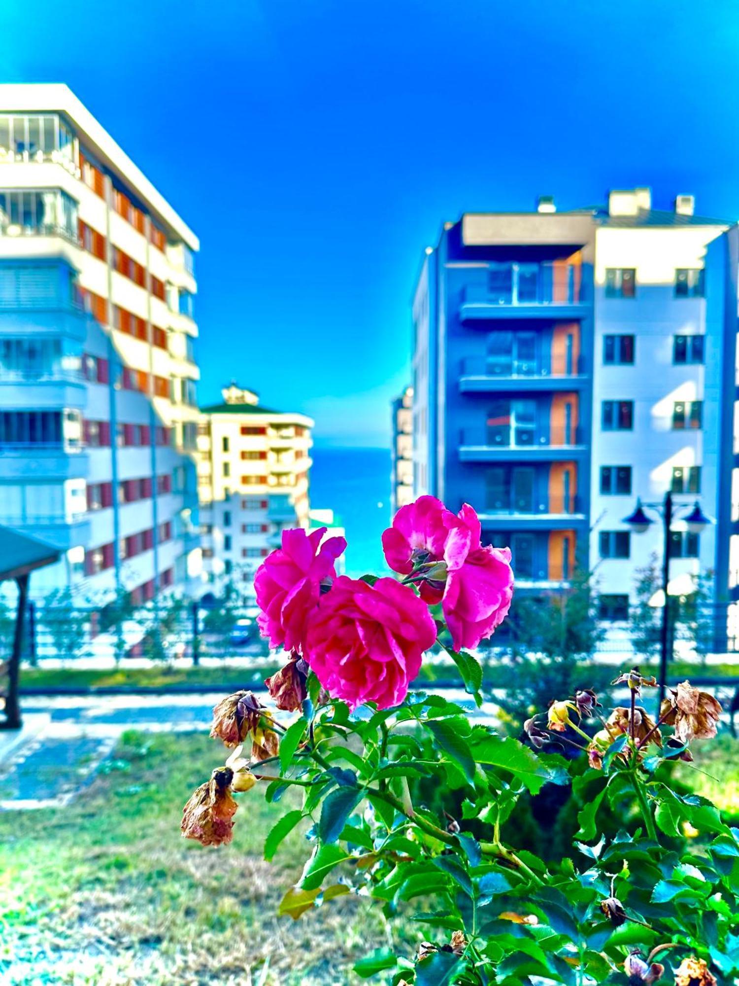 Bazalt Apart Hotel Trabzon Exteriör bild